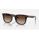 Ray-Ban RB4420 Havana - Brown Gradient
