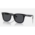 Ray-Ban RB4420 Black - Dark Grey Polar