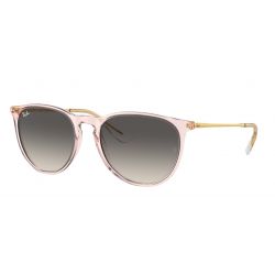 Ray-Ban Erika Transparent Light Gray Gradient Dark