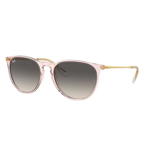 Ray-Ban Erika Transparent Light Gray Gradient Dark