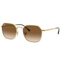 Ray-Ban RB3694 Jim Arista - Clear Gradient Brown
