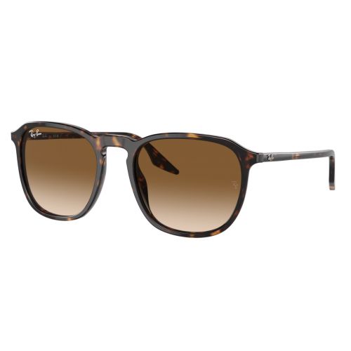 Ray-Ban RB2203 Havana - Clear Gradient Brown