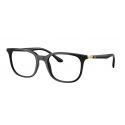 Ray-Ban RX7211 Black