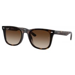 Ray-Ban RB4420 Havana - Brown Gradient