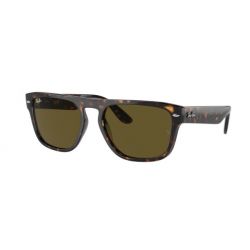 Ray-Ban Havana - Dark Brown