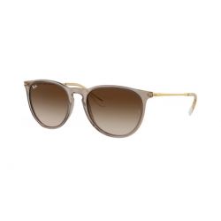 Ray-Ban Erika Transparent Light Brown Gradient Brown