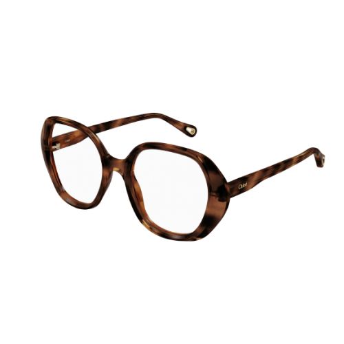 Chloé CH0053O Tortoise