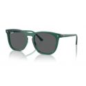 Ray-Ban RB2210 Transparent Green - Dark Grey Lenses