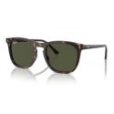 Ray-Ban RB2210 Transparent Brown - Blue Lenses
