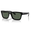 Ray-Ban RB4396 Warren Black Dark Green Lens