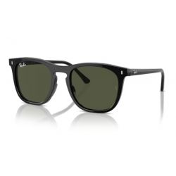 Ray-Ban RB2210 Havana - Green Lenses