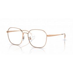 Ray-Ban RX6490D Rose Gold