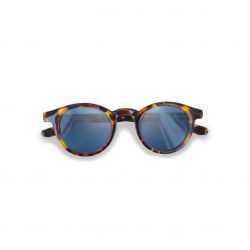 Moken Andy Tortoise - Blue Polarized