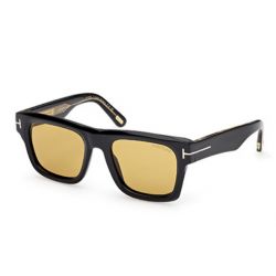 Tom Ford Icon Collection Brown Gradient - Zeiss Grey