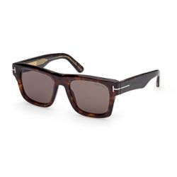 Tom Ford Icon Collection Brown Gradient - Zeiss Grey