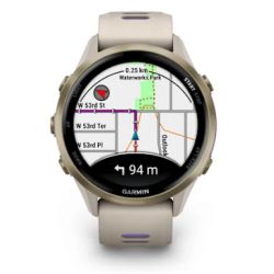 Garmin Forerunner 965 Amoled Titane Blanc et Gris