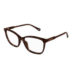 Chloé CH0318O Havana Transparent