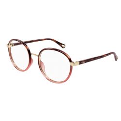 Chloé CH0033O Havana Transparent