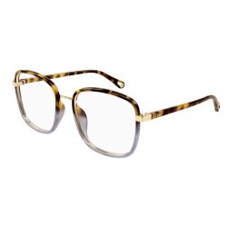 Chloé CH0034O Havana Transparent