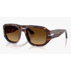 Persol 3373S Vincent Tortoise Brown Lenses