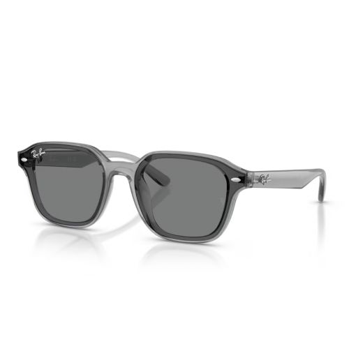 Ray-Ban RB4458D Transparent Grey - Dark Brown Lenses Cat.2