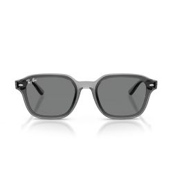 Ray-Ban RB4458D Transparent Grey - Dark Brown Lenses Cat.2