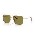 Ray-Ban RB3758 Ari Pale Gold - Green Lenses Cat.2
