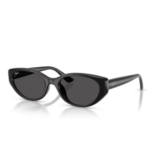 Ray-Ban RB4457D Black - Dark Grey Gradient Lenses