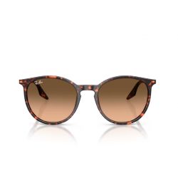 Ray-Ban RB2204 Havana Red Turtle - Pink Gradient Black