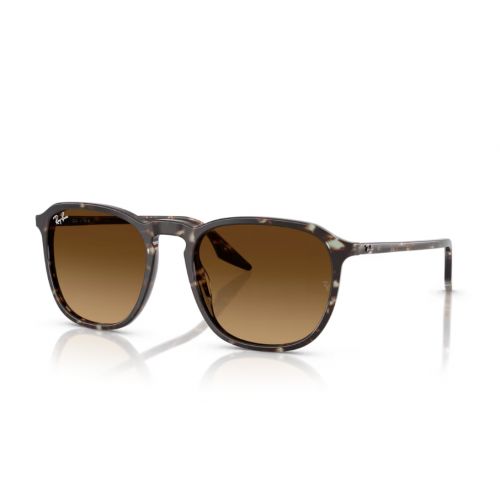 Ray-Ban RB2203 Havana Yellow Turtle - Gradient Brown Cat.3