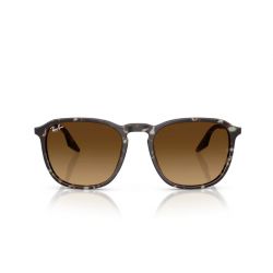 Ray-Ban RB2203 Havana Yellow Turtle - Gradient Brown Cat.3