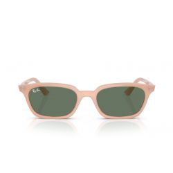 Ray-Ban RB4456 Zaya Cloudy Natural Pink - Dark Green Lenses