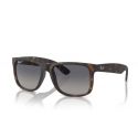 Ray-Ban Justin Rubber Havana - Grey Gradient Blue Polar Cat.2