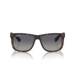 Ray-Ban Justin Rubber Havana - Grey Gradient Blue Polar Cat.2