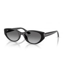 Ray-Ban RB4457D Black - Grey Gradient Lenses