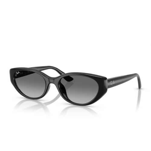 Ray-Ban RB4457D Black - Grey Gradient Lenses