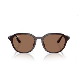 Ray-Ban RB4459D Opal Brown - Dark Brown Lenses