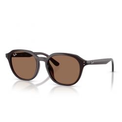 Ray-Ban RB4459D Opal Brown - Dark Brown Lenses