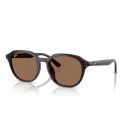 Ray-Ban RB4459D Opal Brown - Dark Brown Lenses