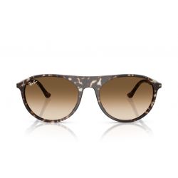 Ray-Ban RB2215 Havana Yellow Turtle - Clear Gradient Brown