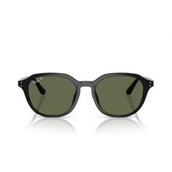 Ray-Ban RB4459D Opal Brown - Dark Brown Lenses