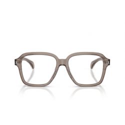 Moncler ME2010 Transparent Shiny Grey 