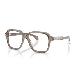 Moncler ME2010 Transparent Shiny Grey 