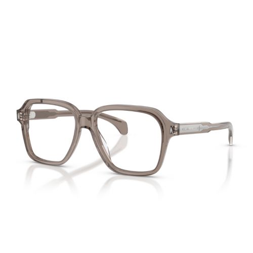 Moncler ME2010 Transparent Shiny Grey 