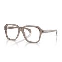 Moncler ME2010 Transparent Shiny Grey 
