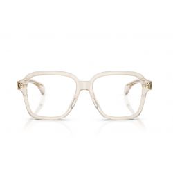 Moncler ME2010 Transparent Shiny Grey 