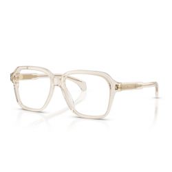 Moncler ME2010 Transparent Shiny Grey 