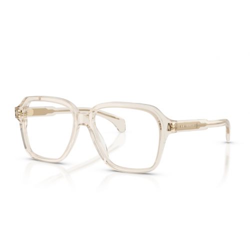 Moncler ME2010 Transparent Shiny Grey 
