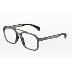 Moncler ME3002 Matte Transparent Grey