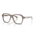 Moncler ME2010 Transparent Shiny Grey